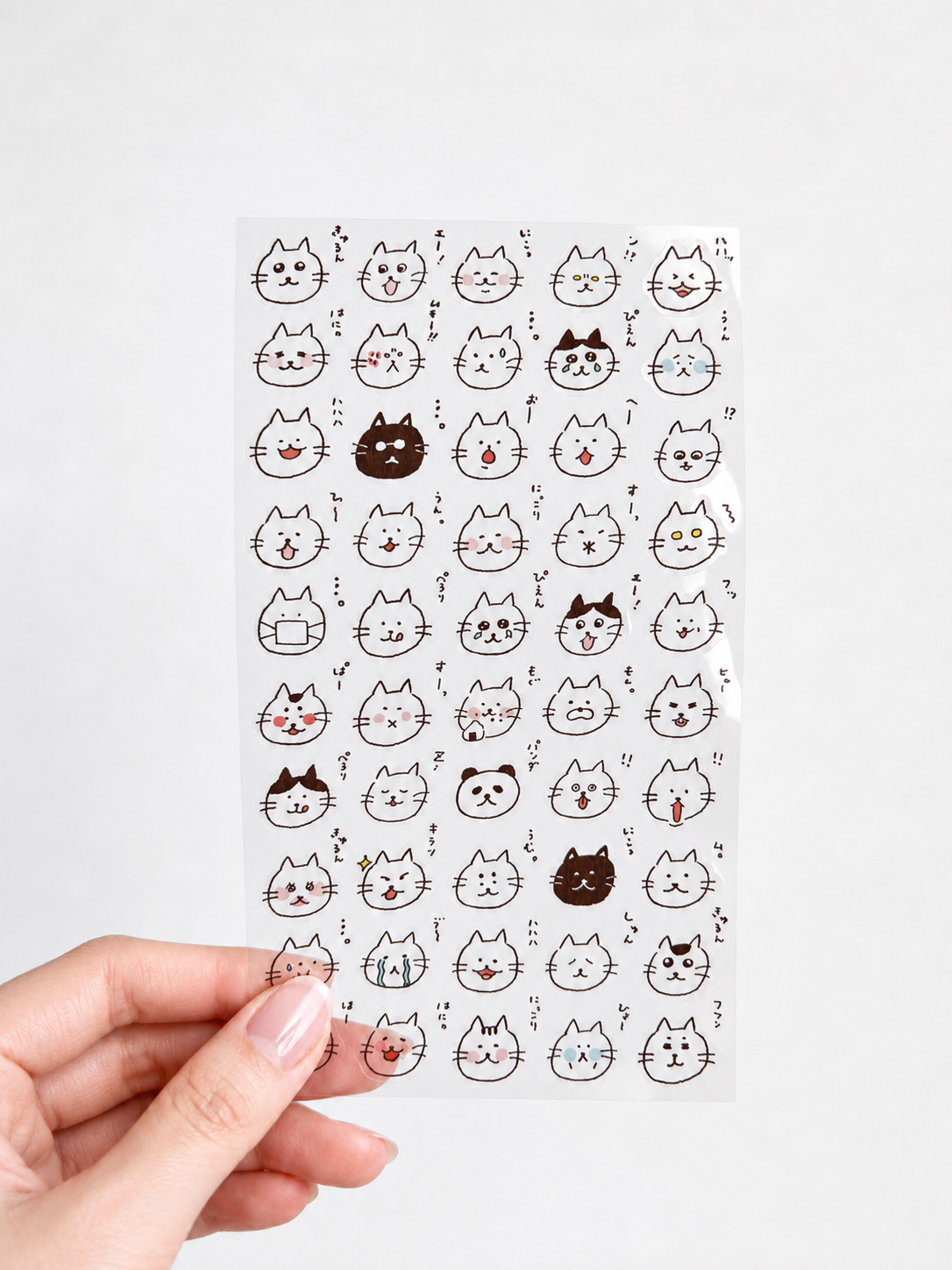 Daily Seal Transparent Stickers - Reaction Cats